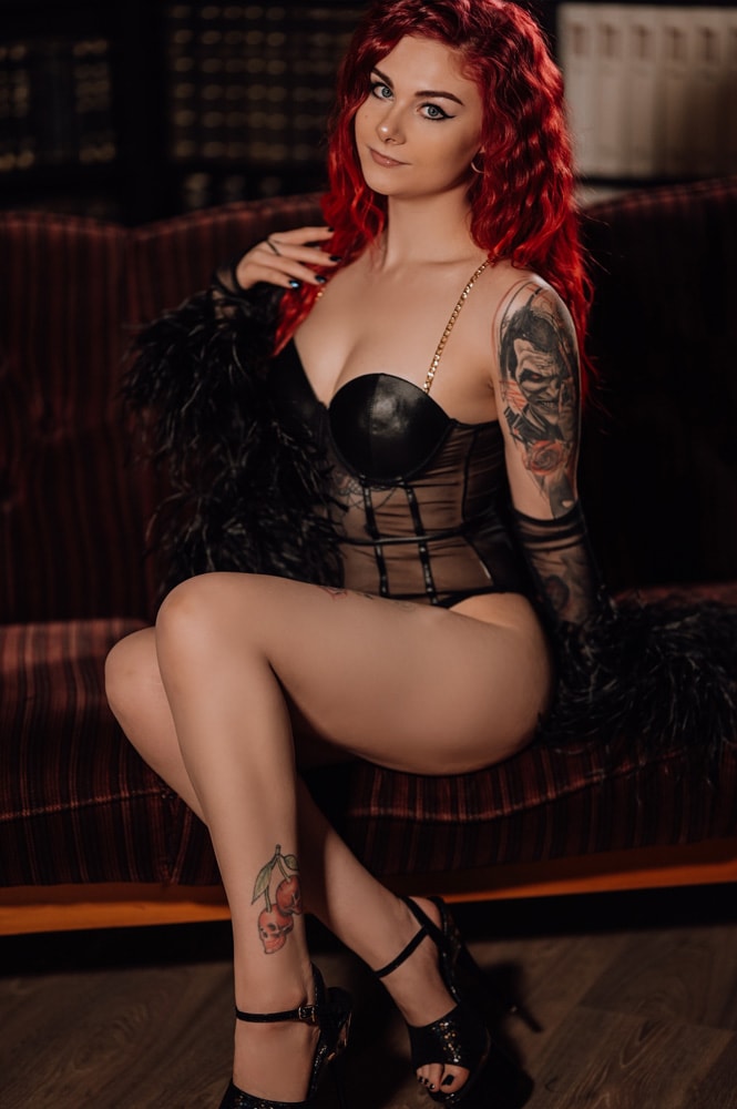 die-mit-den-hunden-bilder