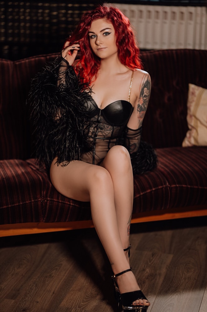 die-mit-den-hunden-bilder